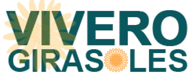 Vivero Girasoles